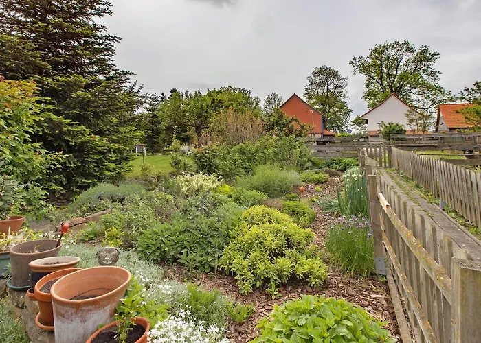 Gute Stube * Veckenstedt